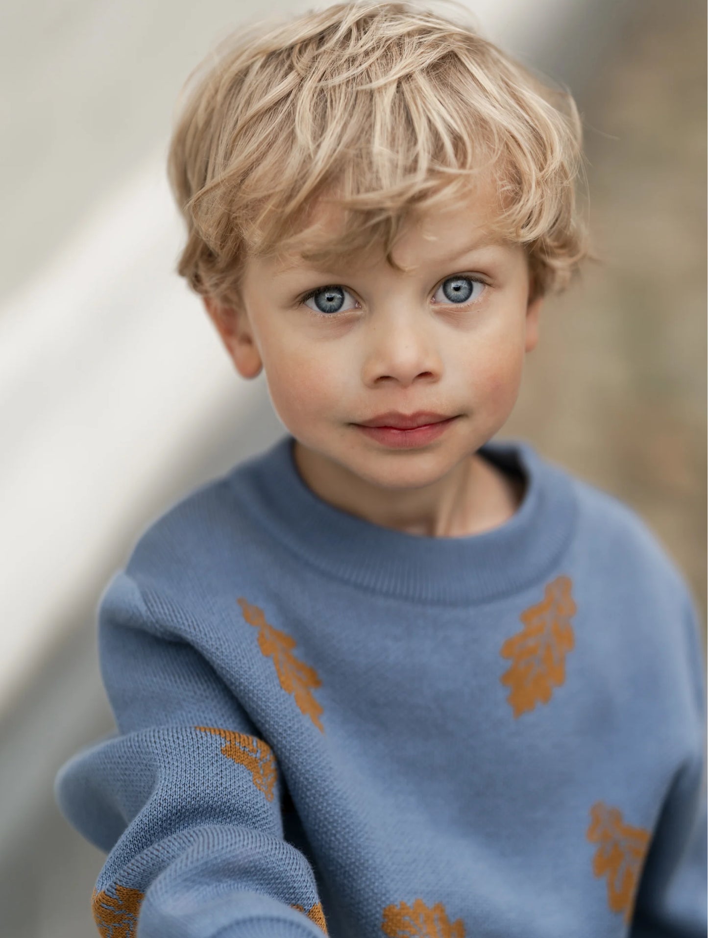 Unisex Freddie Classic Sweater