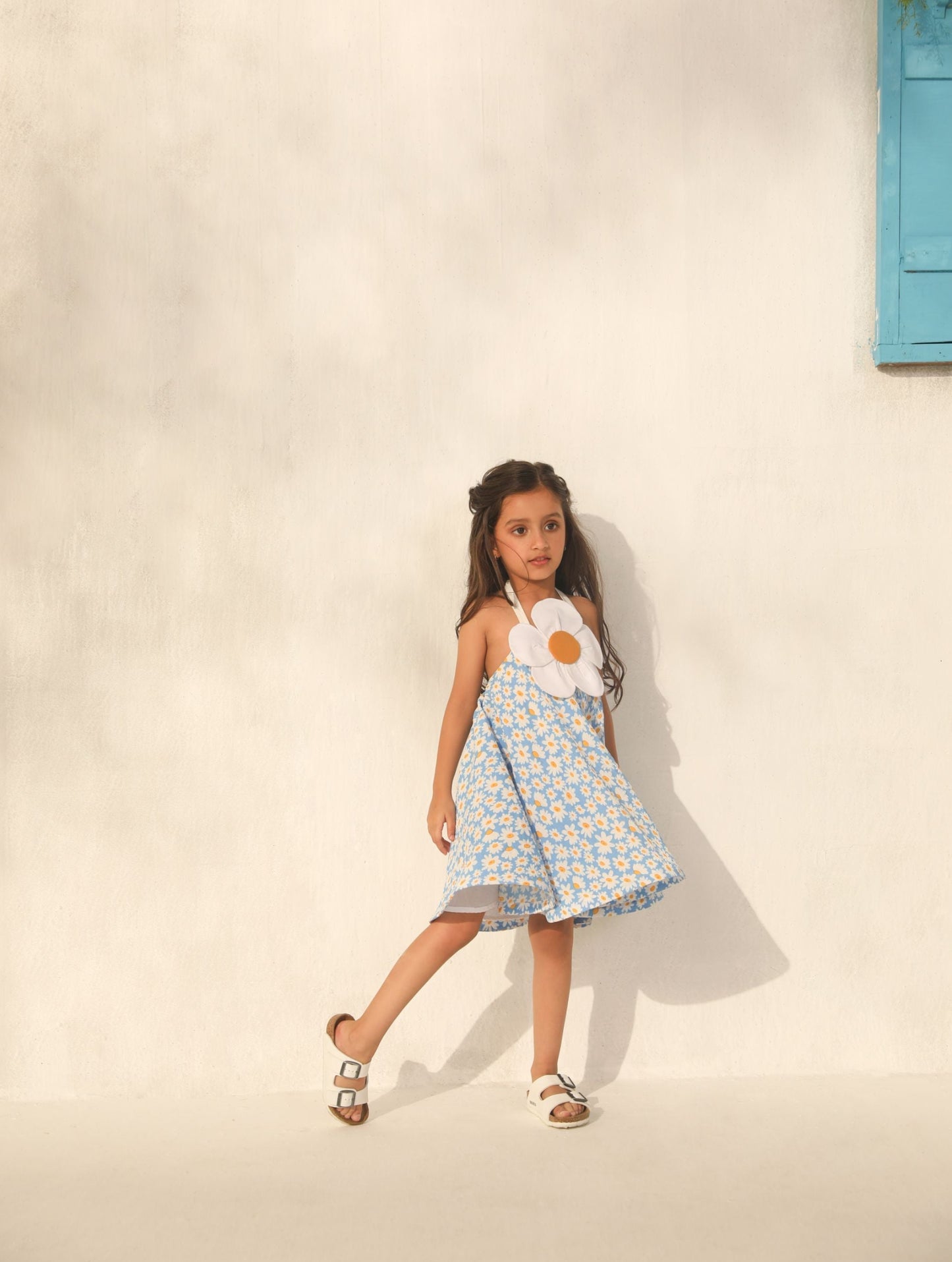 Daisy Whimsical Dress