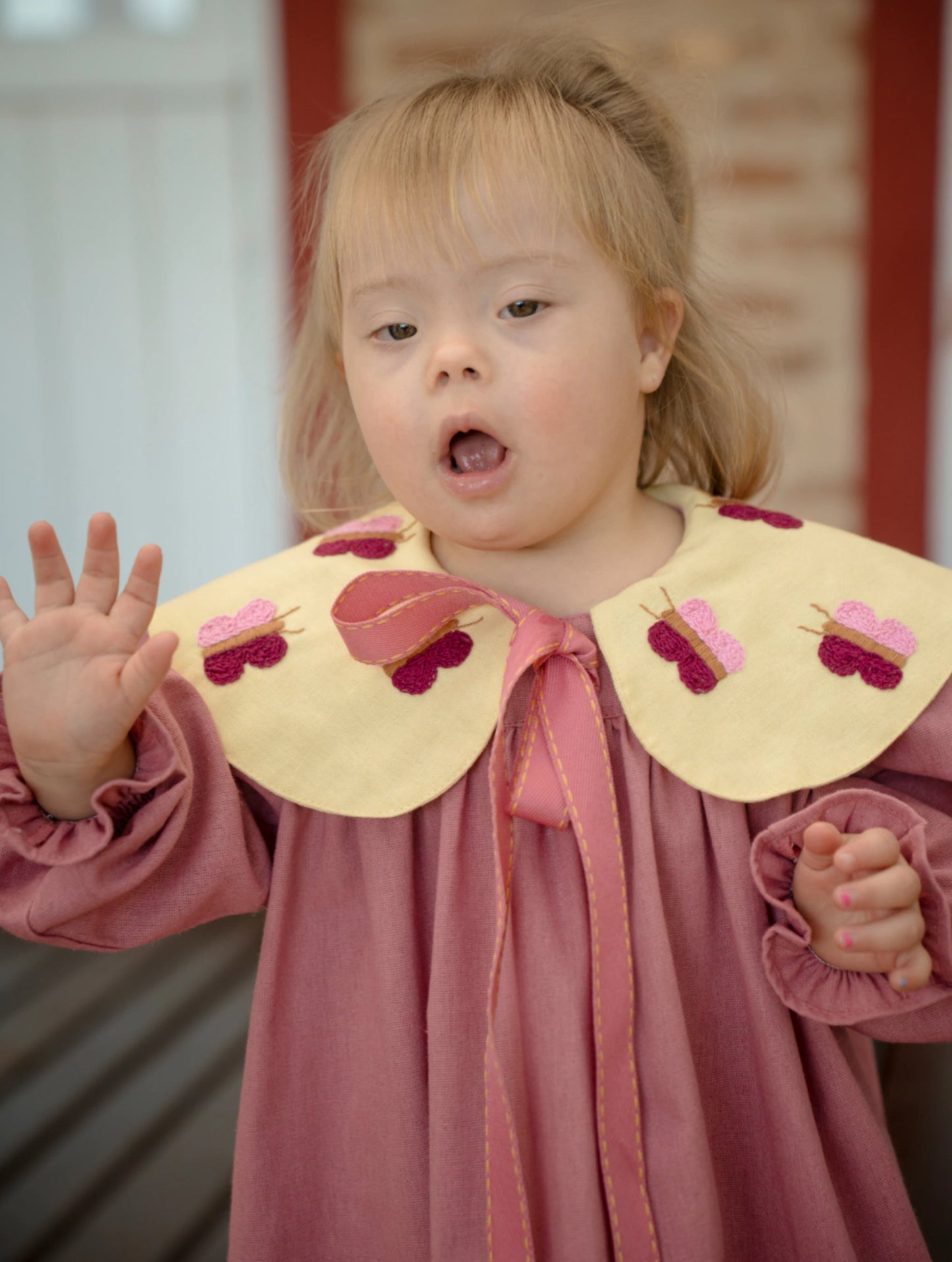 Antique Pink Butterfly Dress