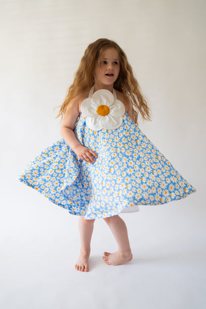 Daisy Whimsical Dress